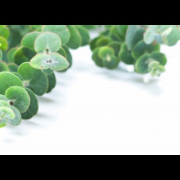 Náplň vůně do prostorového osvěžovače vzduchu, 50 ml, Dark Sapphire